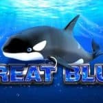 Menyelam Bersama Paus Biru di Great Blue