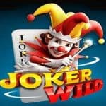 Main Joker Wild, Slot Paling Gokil dari PG Soft!